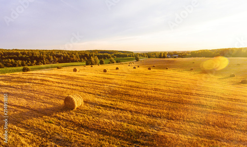 field with sheaves of wheat