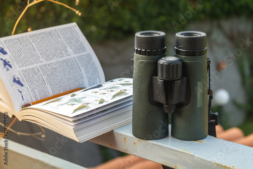 Binoculars and Bird Guide