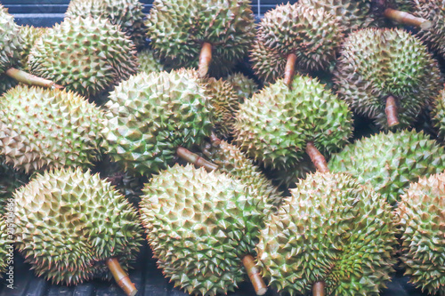 durian or Thai durian