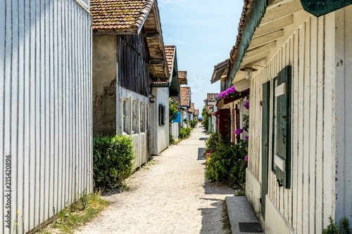 CAP FERRET 2018