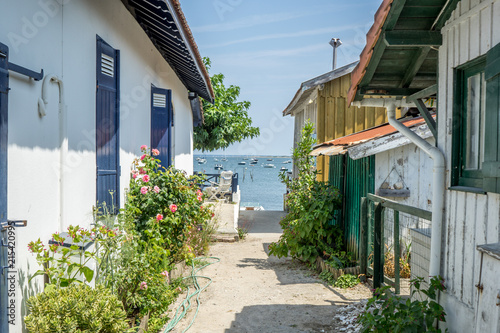 CAP FERRET 2018