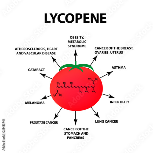 Lycopene treats the disease. Tomato is useful. Vector illustration on isolated background.