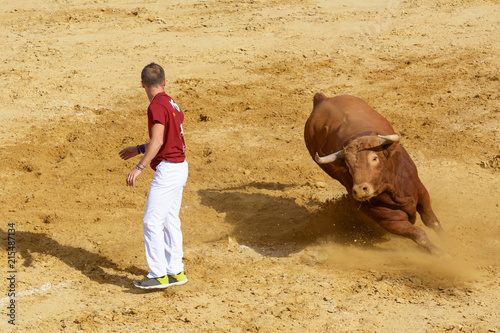 Competición con toros bravos en España