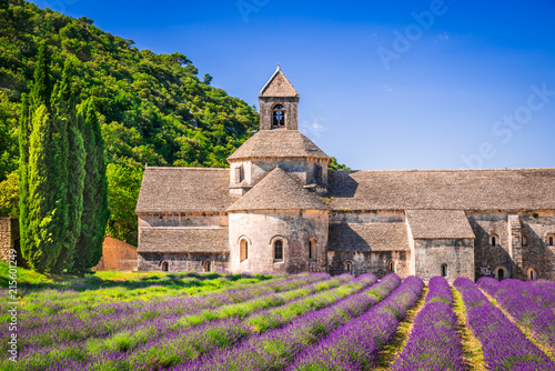 Abbaye de Senanque, Provence lavender in France