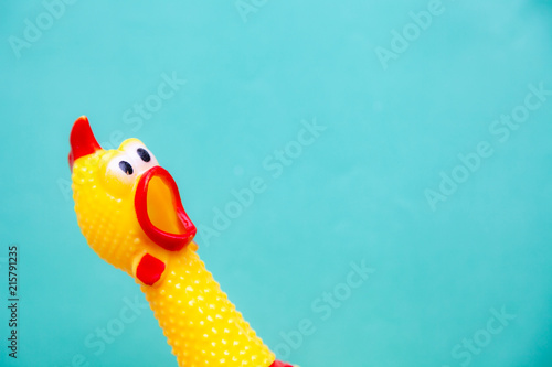 squawking chicken or squeaky toy are shouting and copy space pastel background.