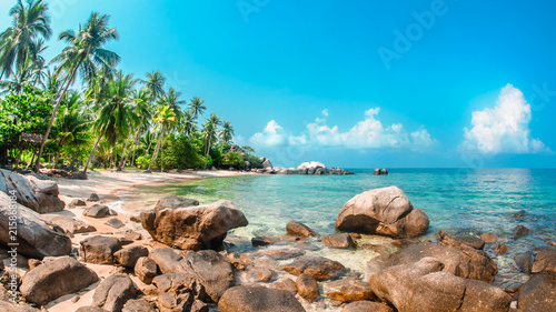 Beautiful tropical beach at exotic island with palm trees