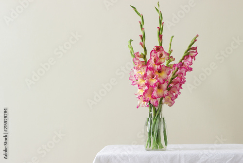 A bouquet of multicolored gladioli in a glass vase on a light background. Greeting card.