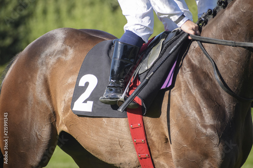 jockey in the saddle at a horse race with the starting number two