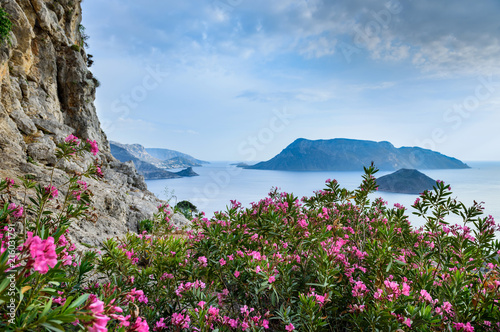 Romantic travel destinations. Spring flowers on Kalymnos Island, Greece