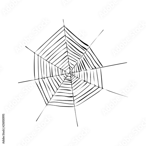 cobweb or spiderweb. Spider web for Halloween.