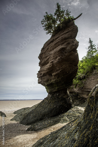 Hopewell Rocks a