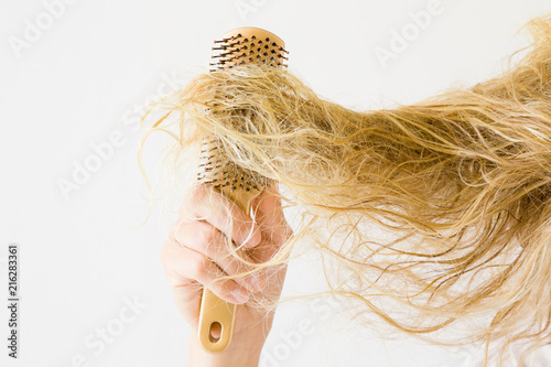 Wet, blonde, tangled woman's hair after washing on the light gray background. Hand with comb. Hair problem and solution. Daily women's issues.