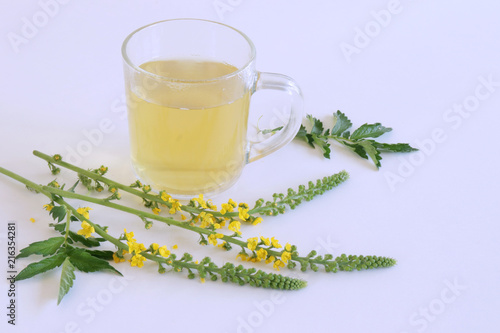 Agrimonia eupatoria, common agrimony, church steeples or sticklewort and common agrimony tea isolated on white background. Natural remedy.Food and healthy concept. Empty space for your text.