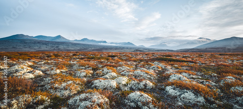Norway Rondane Landscape