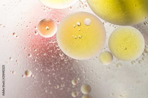 water and oil bubbles with color