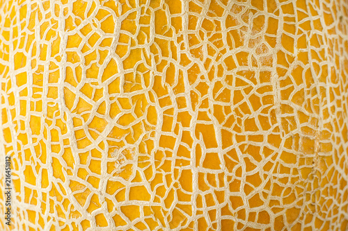 ripe yellow melon texture backdrop
