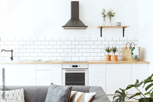 Stylish scandinavian open space with kitchen accessories, plants. Design room with white walls.