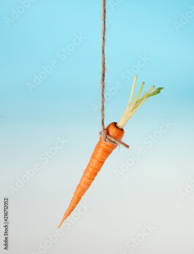 Carrot bait on a string