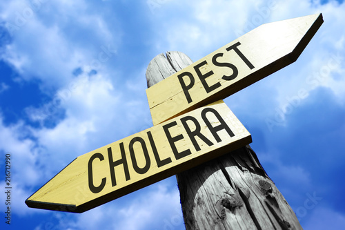 Pest, cholera - wooden signpost