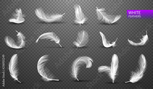 Set of isolated falling white fluffy twirled feathers on transparent background in realistic style. Vector Illustration