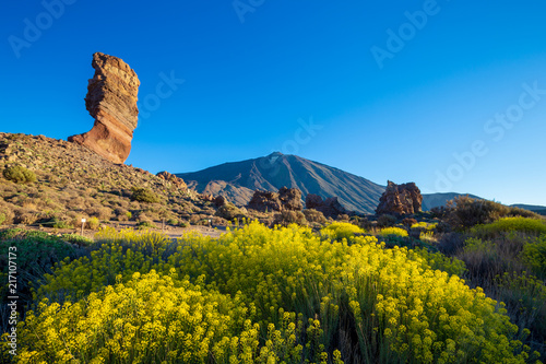 View of unique Roques de Garcia unique rock formation with famous Pico del Teide mountain volcano summit in the background on a sunny morning. Teide National Park, Tenerife, Canary Islands, Spain.