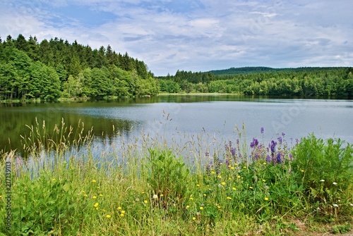 A pond surrounded by forests and meadows under cloudy sky