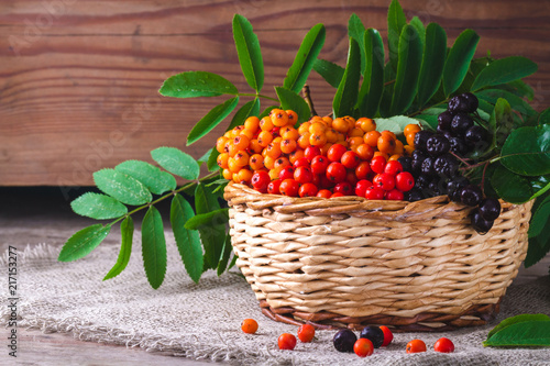 Branches of red, orange, black mountain ash in a basket on a wooden background.