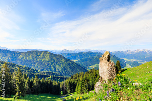 tree stub with alpine flowers and beautiful view of bavarian alps