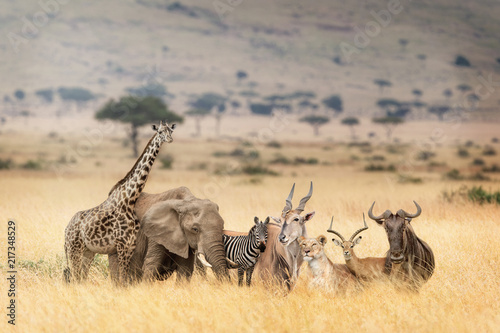 African Safari Animals in Dreamy Kenya Scene