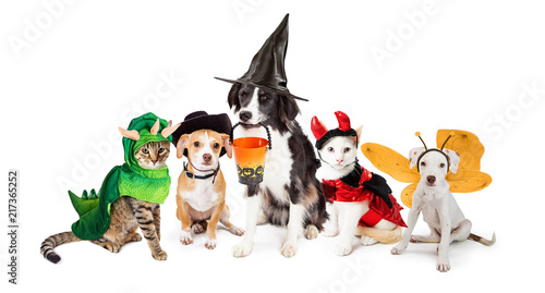 Row of Cats and Dogs in Halloween Costumes