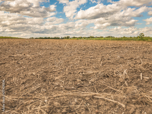 fallow brown agricultural field at great drought, dryness, disaster catastrophe in Germany in Europe no crops