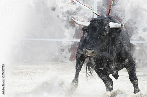 Watercolor, Bullfight. Fighting bull picture from Spain. Black bull