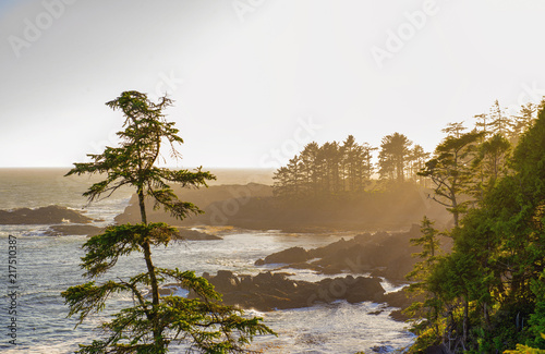 Shoreline at wild pacific trail in Ucluelet, Vancouver Island, BC