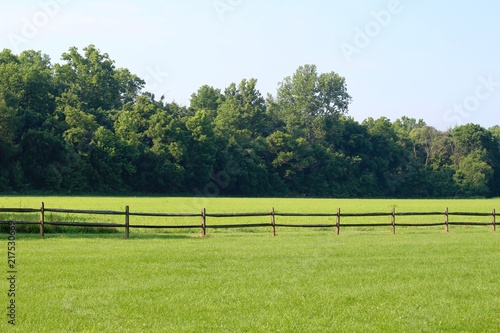 The green grass pasture in the country on sunny day.
