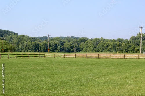 The green grass field and pasture in the countryside. 