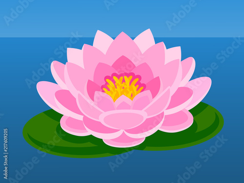 Pink lotus flower. Asian flower. Vector flat illustration