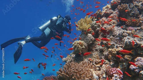 Man scuba diver admiring beautiful colorful coral reef