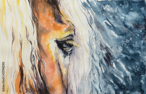  Close-up of a beautiful horses eye.Picture created with watercolors.
