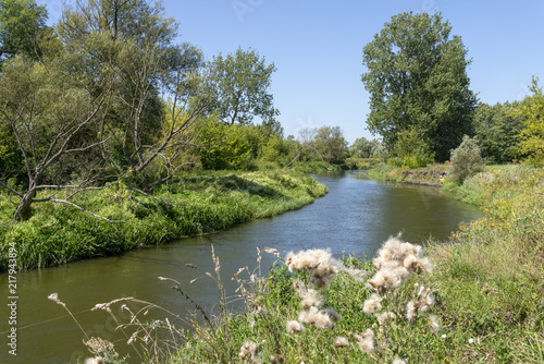 Wieprz river near Zawieprzyce