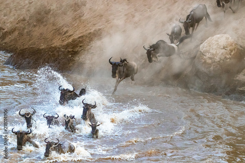 Wildebeest crossing the Mara River during the Great Migration