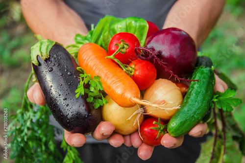 homemade vegetables in the hands of men. harvest. selective focus.