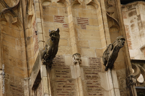 Gargouilles de la cathédrale Saint Etienne à Toulouse, Haute Garonne