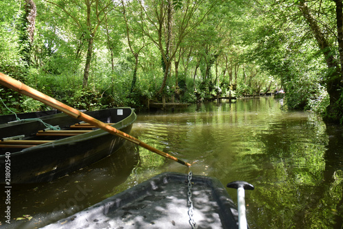 Marais poitevin : promenade en barque sur les canaux à Maillezais, Vendée, Pays de la Loire.