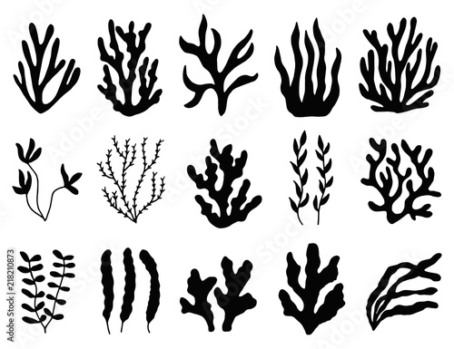 seaweed silhouette isolated. Marine plants on white background.
