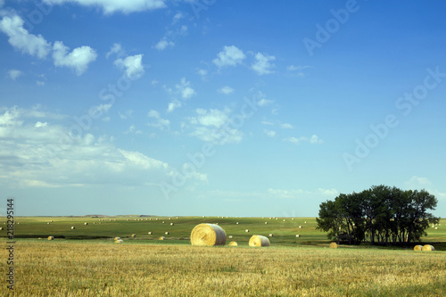 Hay Bales in Buffalo Gap Grasslands, South Dakota