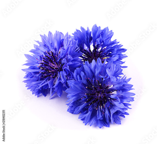 Blue cornflower herb isolated on white background