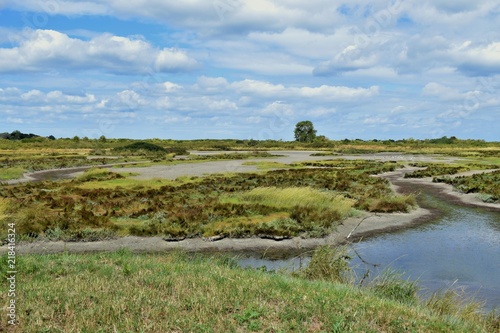 estuaire de l'orne