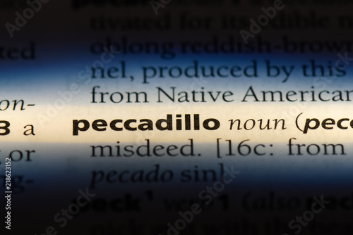 peccadillo