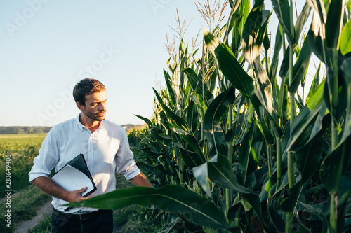 Yong handsome agronomist holds tablet touch pad computer in the corn field and examining crops before harvesting. Agribusiness concept. agricultural engineer standing in a corn field with a tablet.