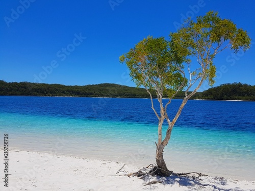 Lake Mckenzie- Fraser Island